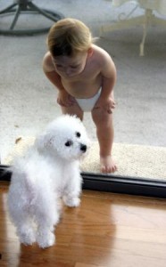 Toddler Looking at Puppy