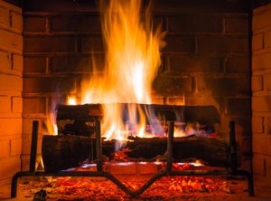Burning Logs in Fireplace