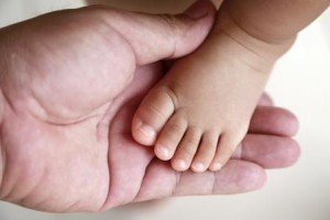 Adult hand holds baby foot